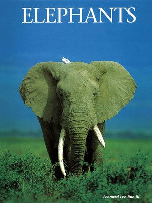 cover image of Elephants